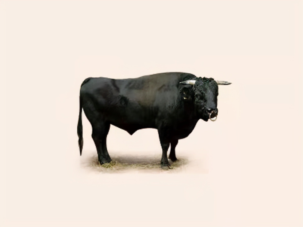 韩国“菜蓝子”疯涨,牛肉每公斤逾1000元,菠菜、水果更贵