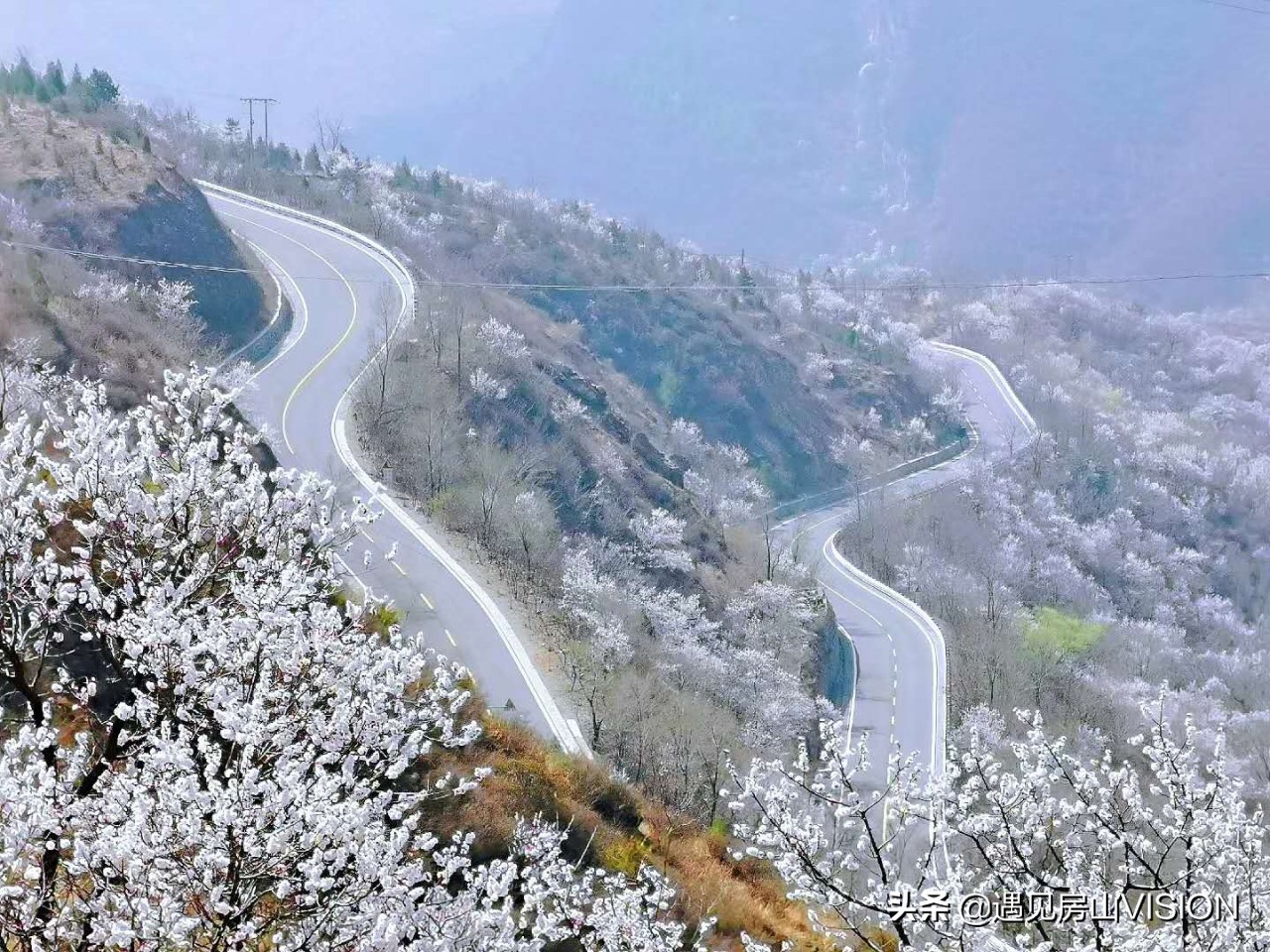 人间四月芳菲天,最美春天在房山——蒲洼行记