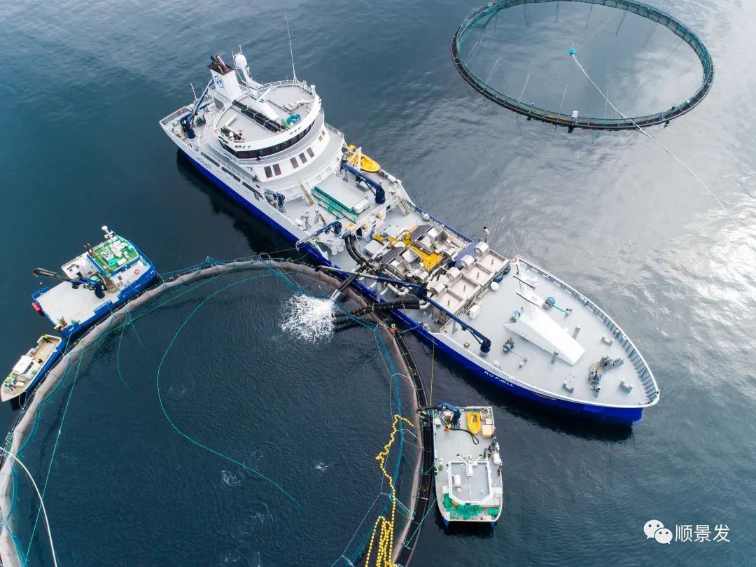 挪威和中国签订协议,挪威希望与中国加强合作