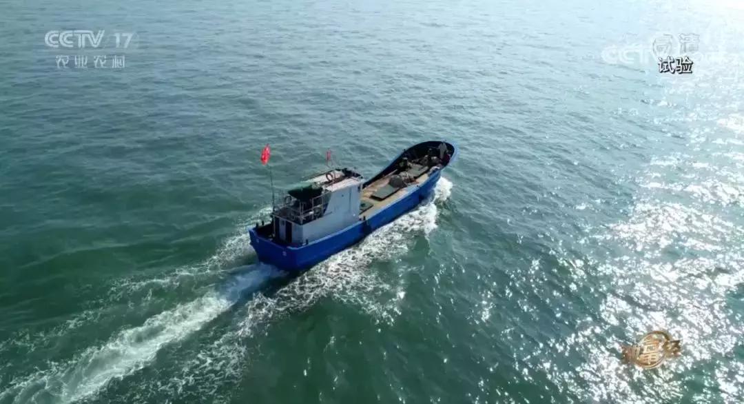 年过花甲,他重回“鬼门关”,抓出上亿黄金财