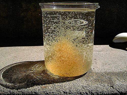 绿水养金鱼好还是清水养金鱼好,用什么水养金鱼最好