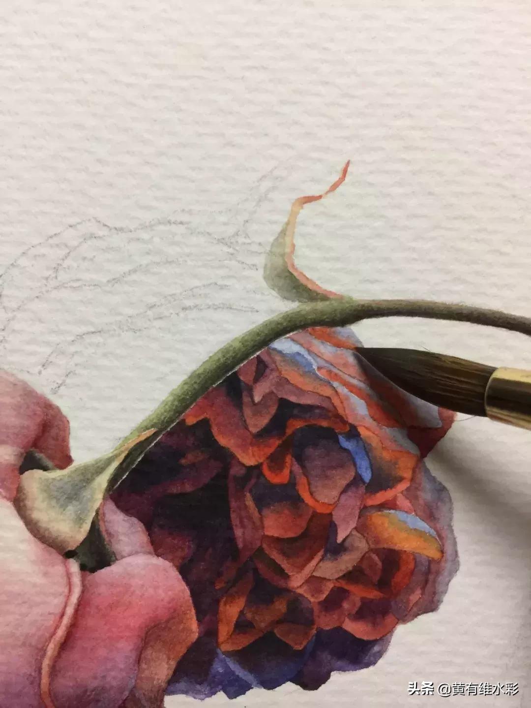 33朵玫瑰制作全过程,英伦花教程