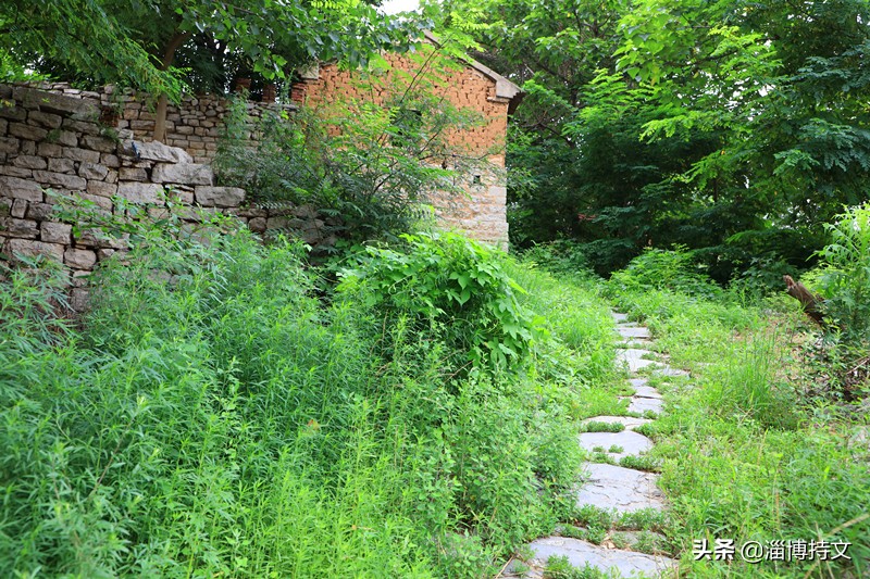 瑙︽懜涔℃剚鍙よ瘲鍥剧墖,瑙︽懜涔℃剚