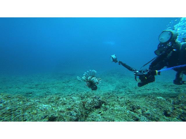 林林go视频,林林go自驾游