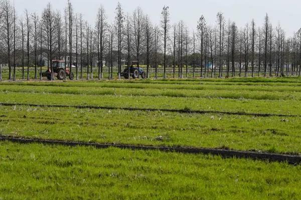 不减产不减量！疫情下，家庭农场主们这样忙活“生意经”