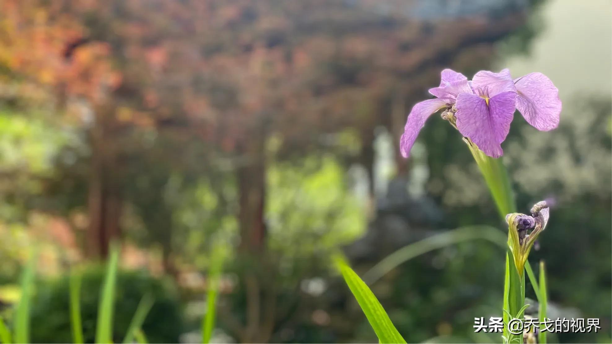 兰山区利群医院,织金利群医院