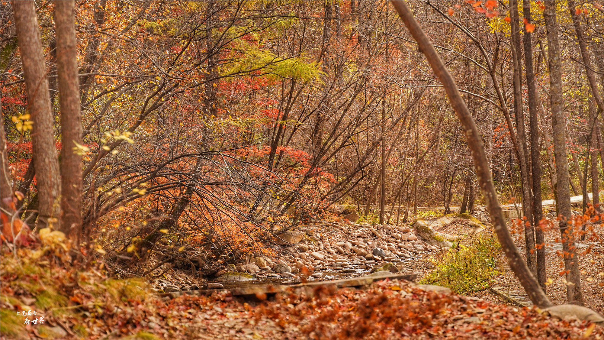 本溪关门山看枫叶最佳游览路线,本溪红叶层林尽染自驾游攻略