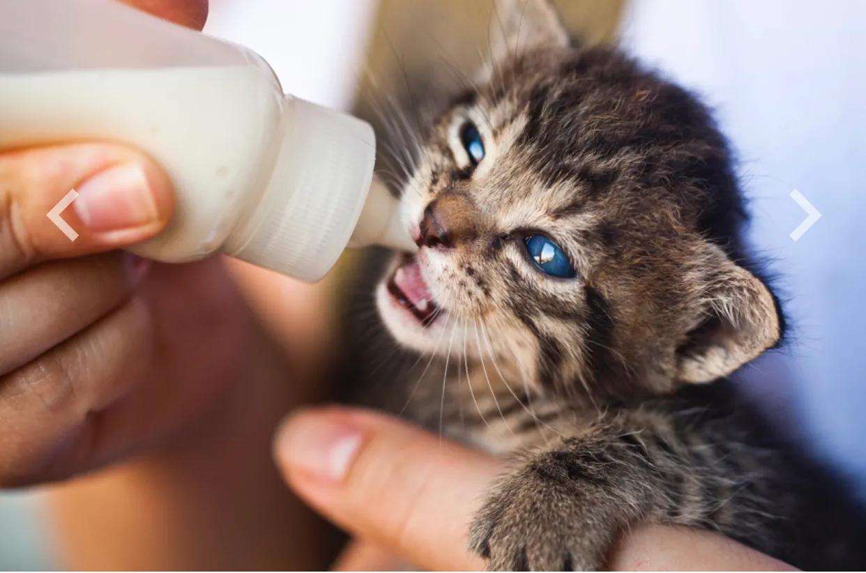 当了妈妈才知道母爱的力量,当了妈妈才知道生活还有一番滋味