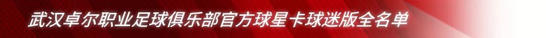 武汉卓尔新赛季球票,武汉卓尔职业足球俱乐部优惠团购