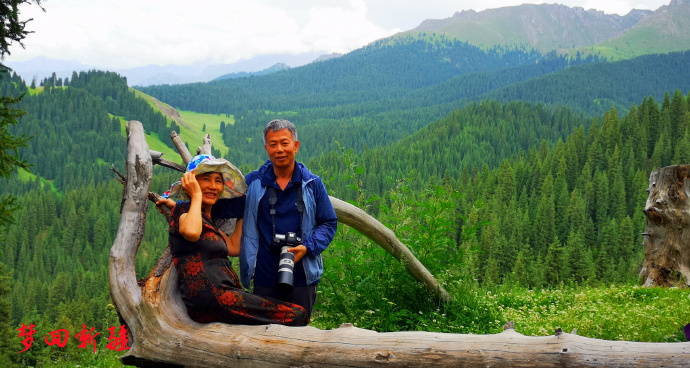 梦回新疆梦回拉萨,梦回伊宁草原视频