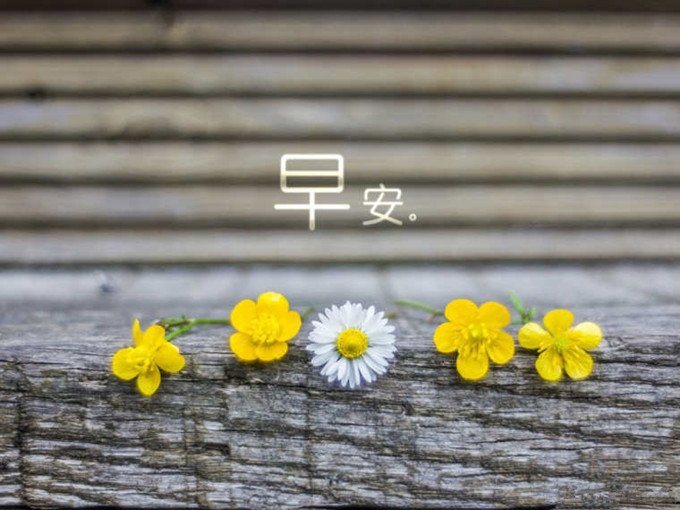 经典动人的早安心语朋友圈25句,早安心语100条简短