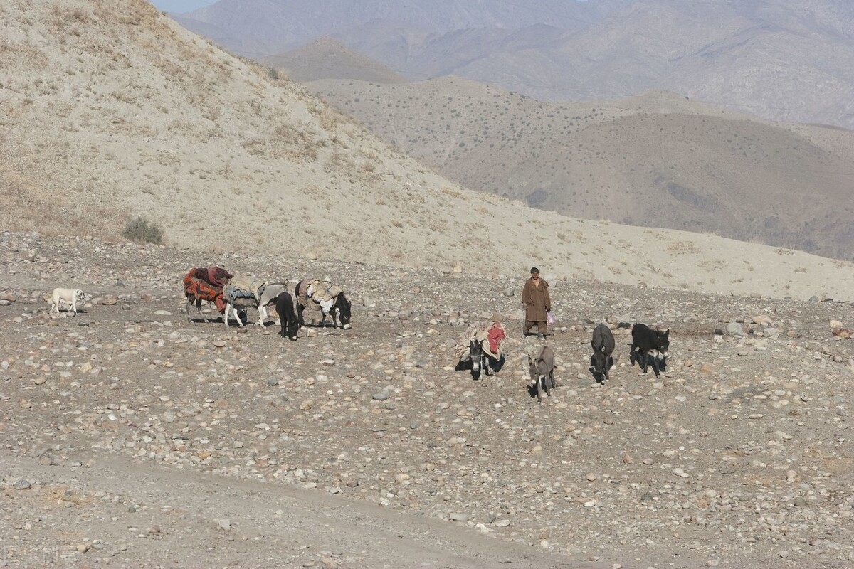 阿富汗有什么特别之处,阿富汗这个国家怎么样的