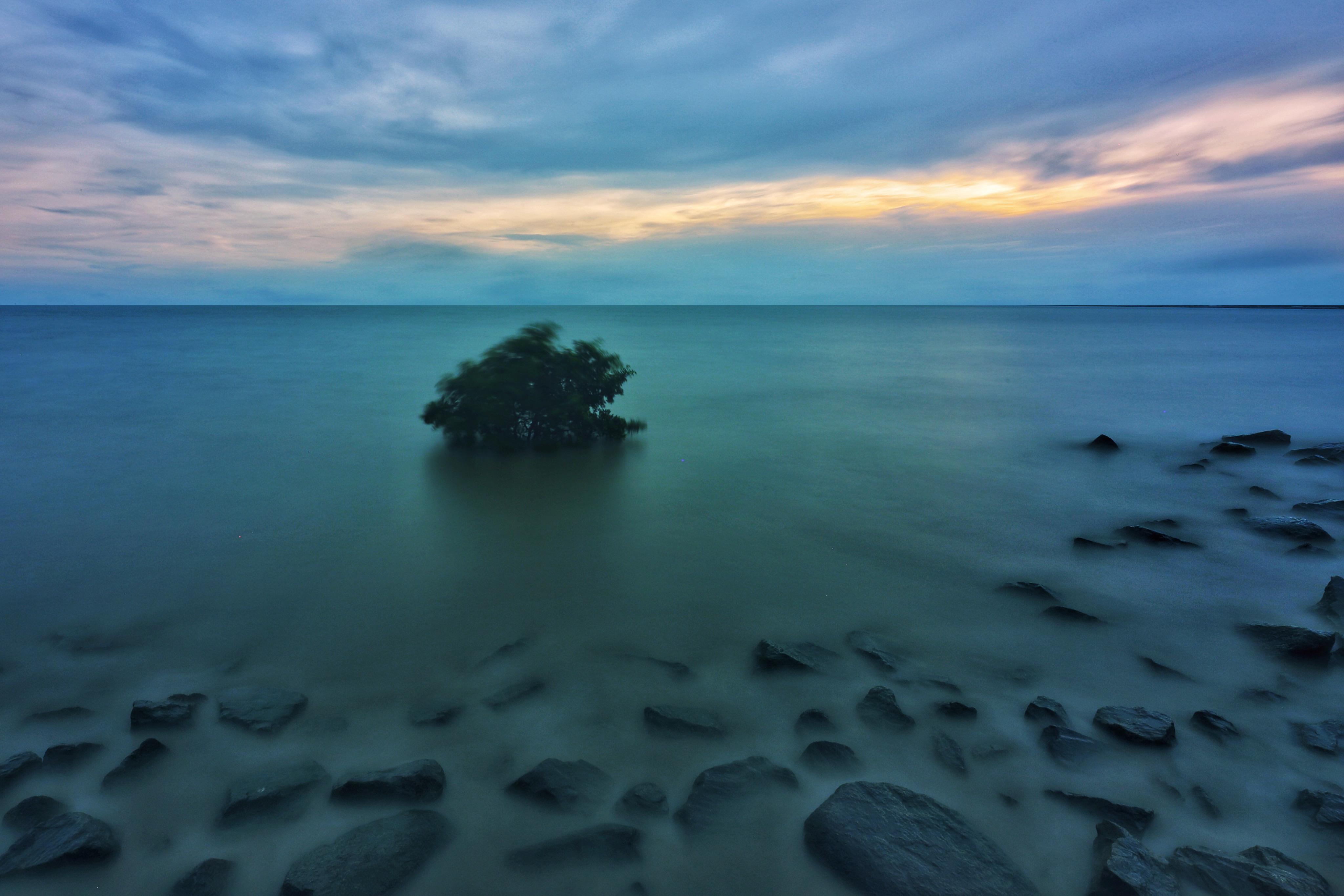 拍照教程教你如何拍出好看的照,教你4个技巧助你拍出光影美照