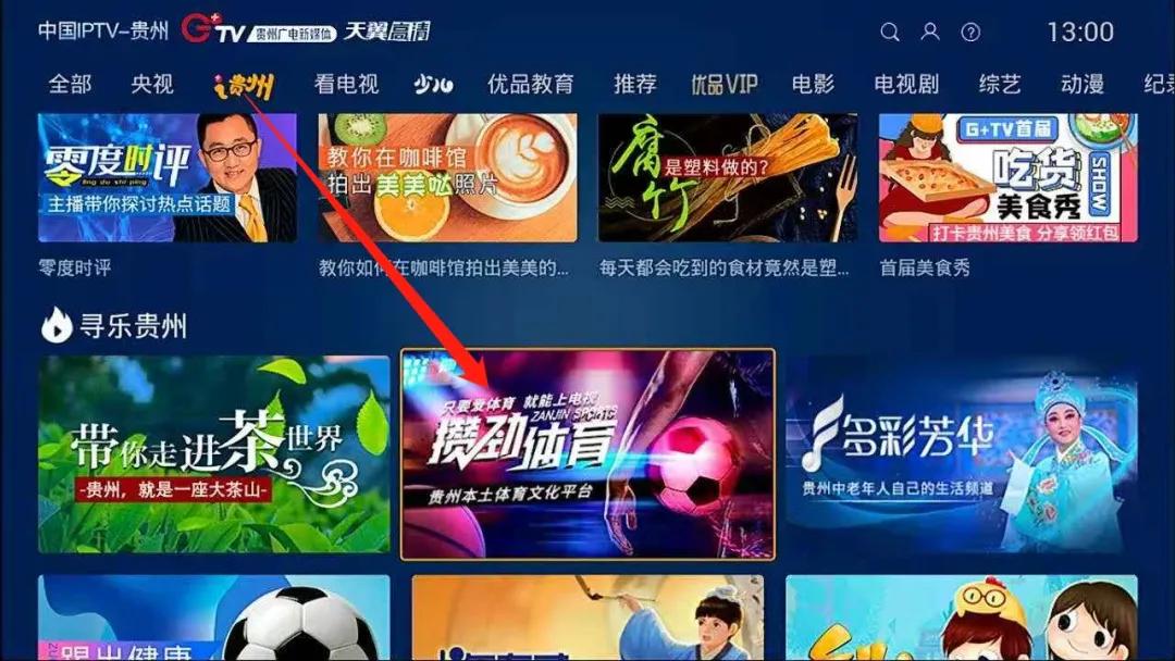全国青少年足球训练营,全国青少年满天星训练营