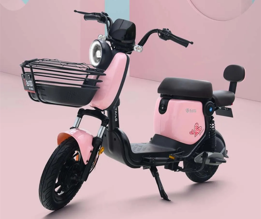 续航最远的新国标48v电动车,动力又强续航又高的是什么电动车