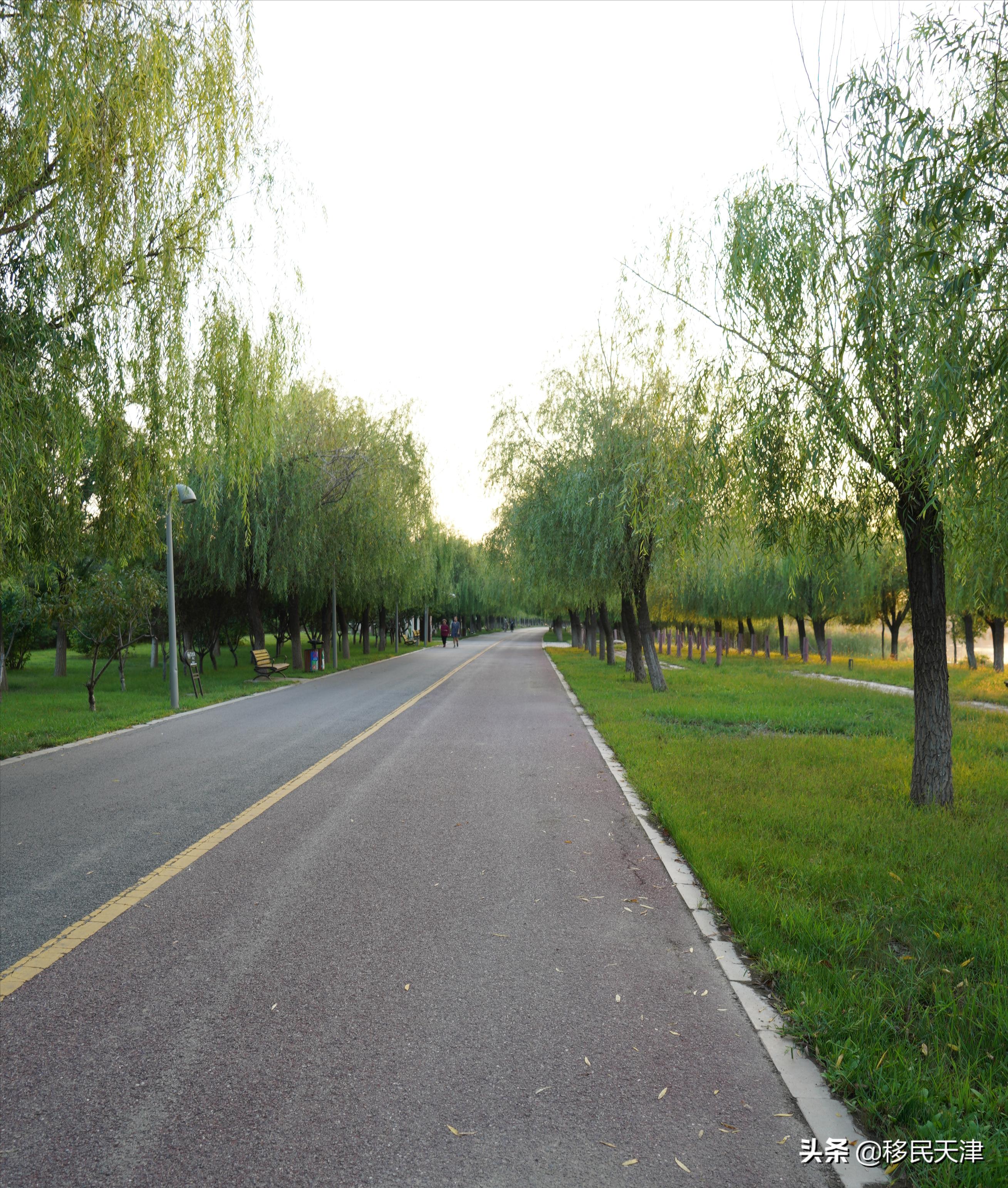 天津武清南湖片区房价,天津武清南湖板块发展