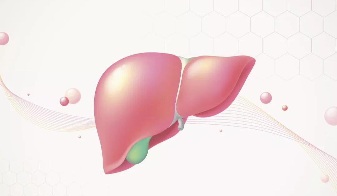 淤胆型肝炎为药物性肝病，其病程迁延难愈，严重威胁着患者的健康