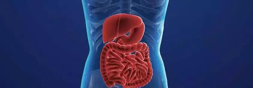 无痛内镜的亲身经历,无痛内镜是肠镜吗