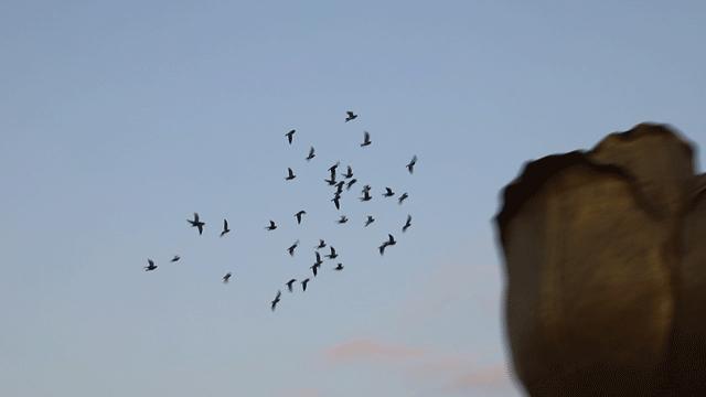 深圳10大旅游好去处,深圳盐田区周末休闲浪漫好去处