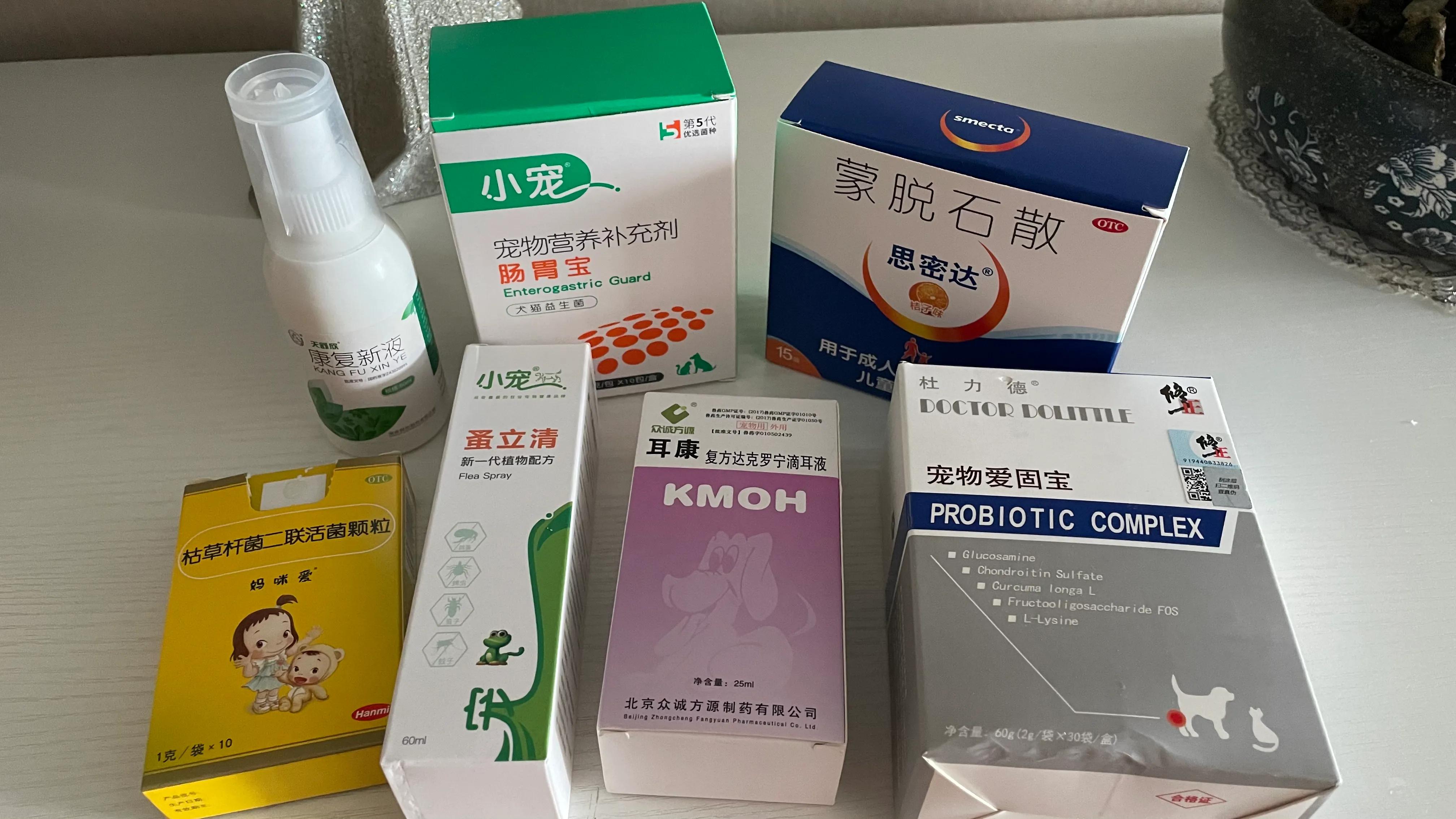 灰泰迪的疫苗,家有灰泰迪