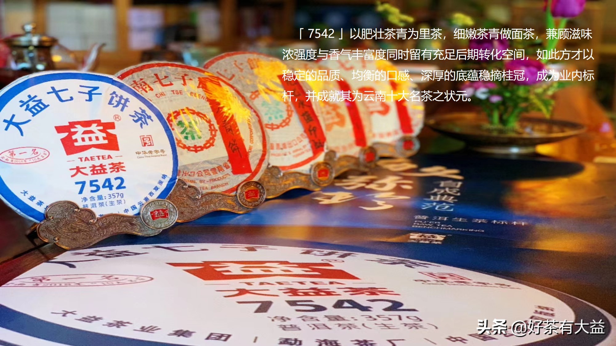 大益七子饼茶越陈越香,大益茶满庭香