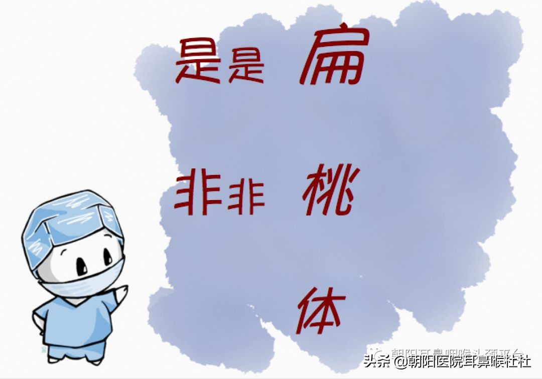 扁桃体是属于咽喉吗,扁桃体属于上咽部还是下咽部