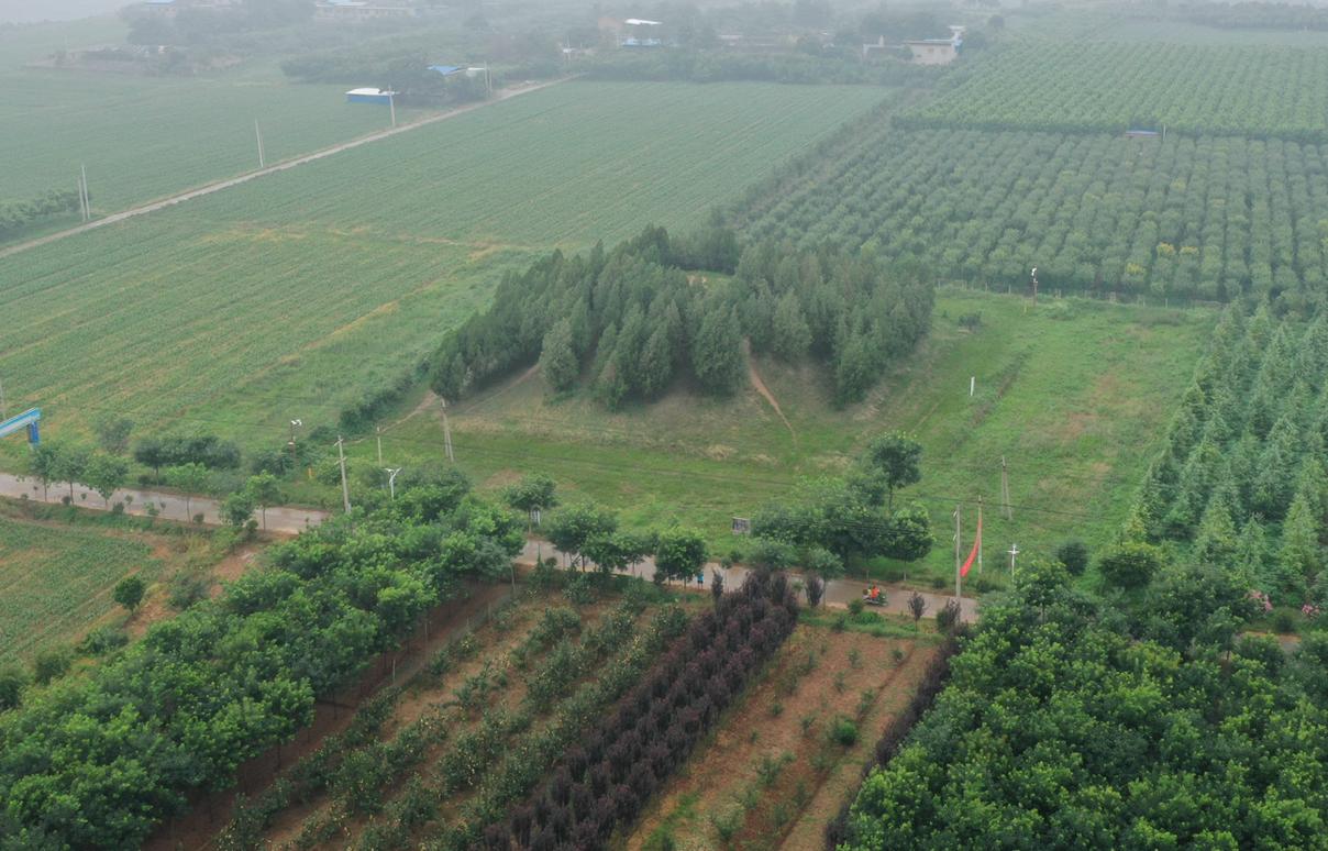 唐武宗端陵内部,唐武宗端陵考古