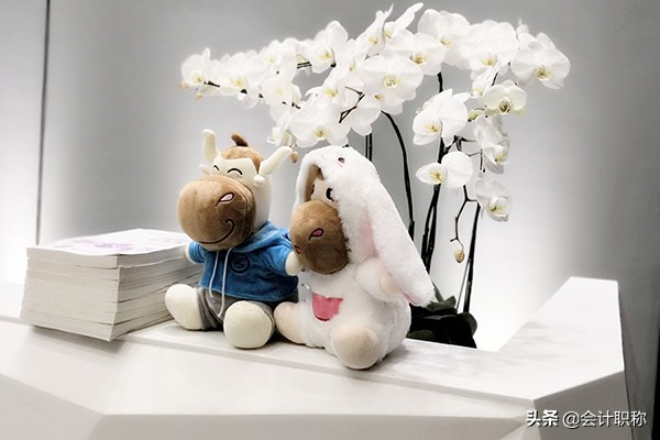 双十一企业的会计处理,2020电商平台会计分录大全