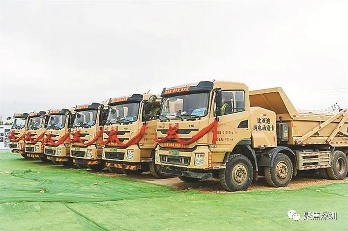 深圳市公园现在开放了吗,深圳这些公园今起恢复开放