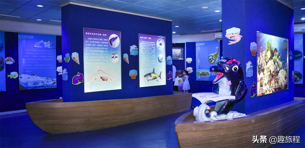 开年特惠仅需89.9元，畅游小梅沙海洋世界门票，,快抢啊!