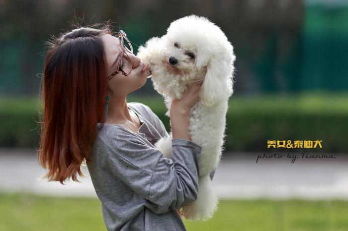 泰迪最讨厌的互动方式,泰迪最讨厌的四种抱法