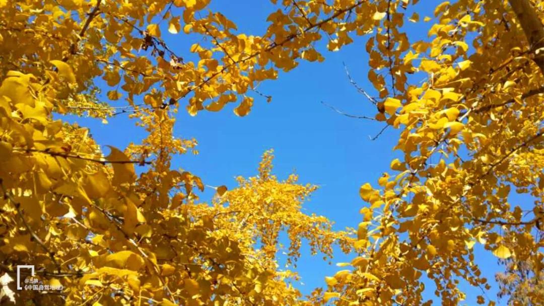 广东一路向南旅游攻略,一路向南探索异国风情