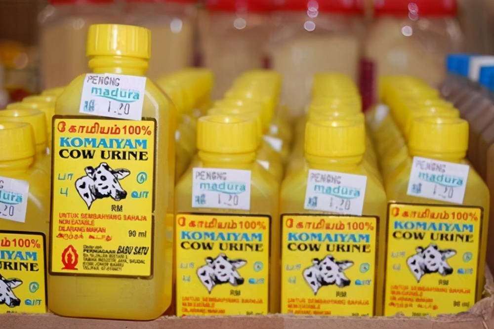 你不知道的国家冷知识印度,25则印度冷知识你都了解多少呢