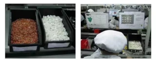 仓库5s管理内容和标准,厂区内公共区域5s管理标准