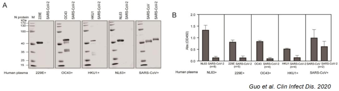 中医科学院任丽丽,任丽丽