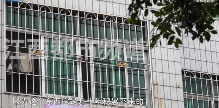 60岁大妈跟靳东谈恋爱,61岁大妈与靳东相恋后续