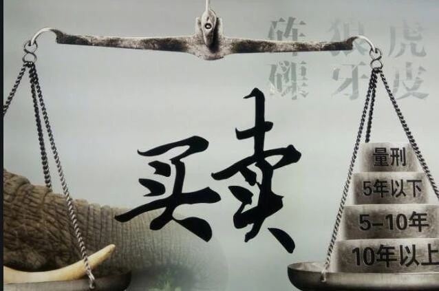 杨蒋银:大谈买卖战略论世界,世界一切皆买卖