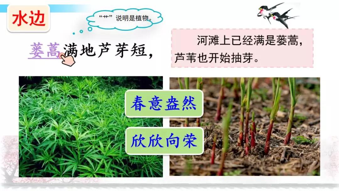 三年级下册语文第一单元测试卷,三年级下册语文教学视频人教版