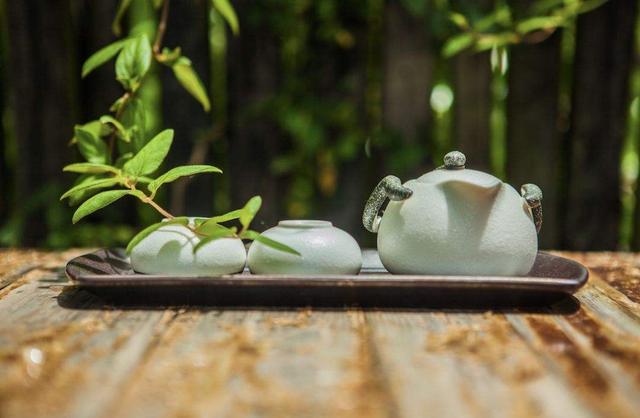 一岁一寒一春秋，一草一木一参花。