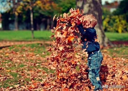 宝宝积食咳嗽的最佳食疗方法,积食咳嗽食疗汤