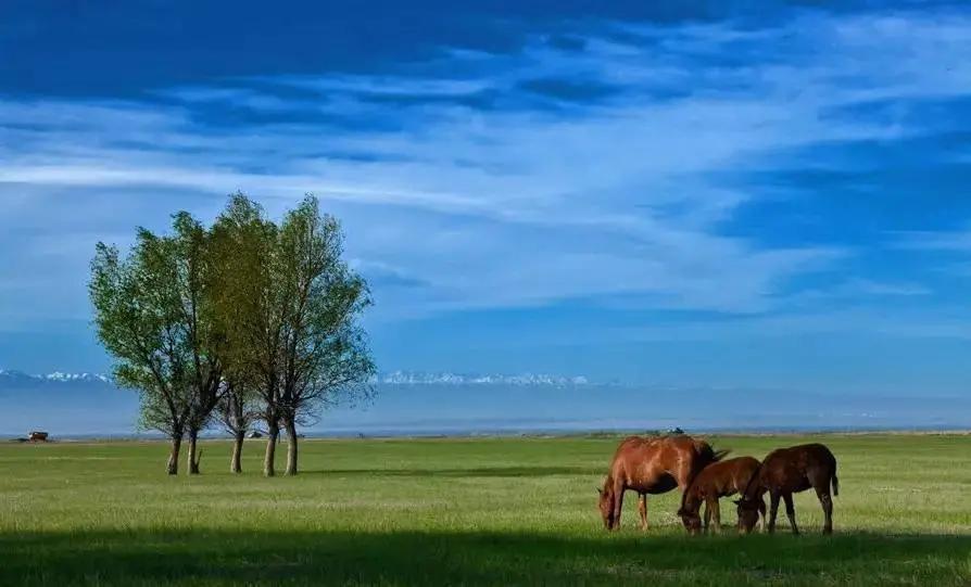 在塔城生活怎么样,新疆塔城生活条件怎么样