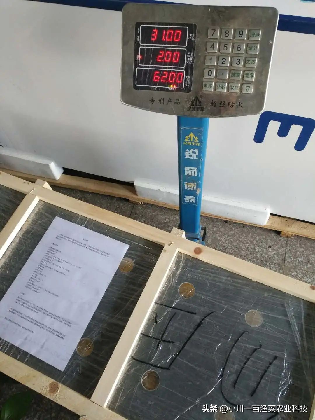 鱼菜共生系统全套设备,鱼菜共生系统管理方案