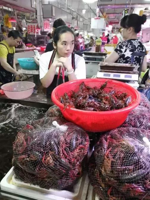 今年生蚝,今年生蚝便宜