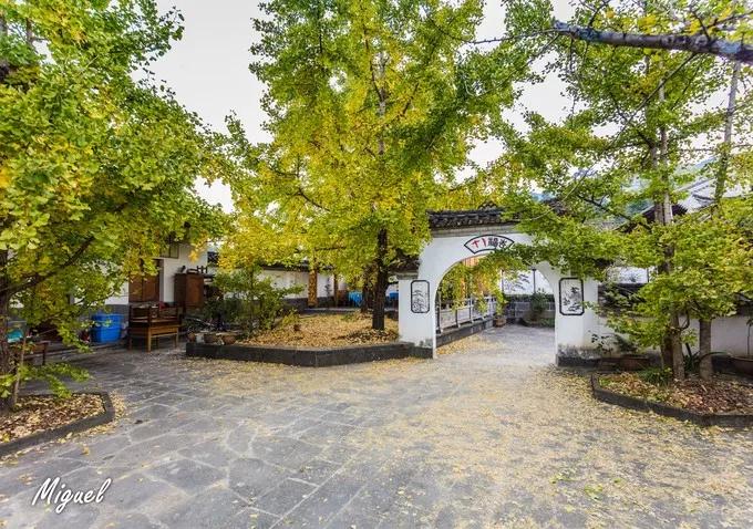 腾冲旅游攻略气温,腾冲深度旅游