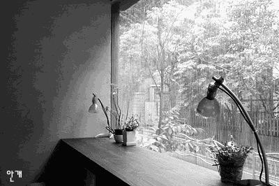 精品欣赏|沐之《痴梦》《梦入桃园》《夜色之恋》诵:明子