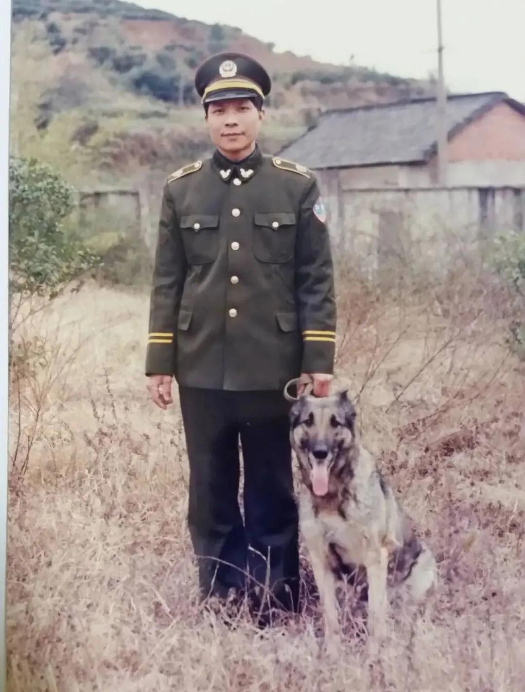 十大最著名的警犬故事,有哪些关于警犬的英勇事迹