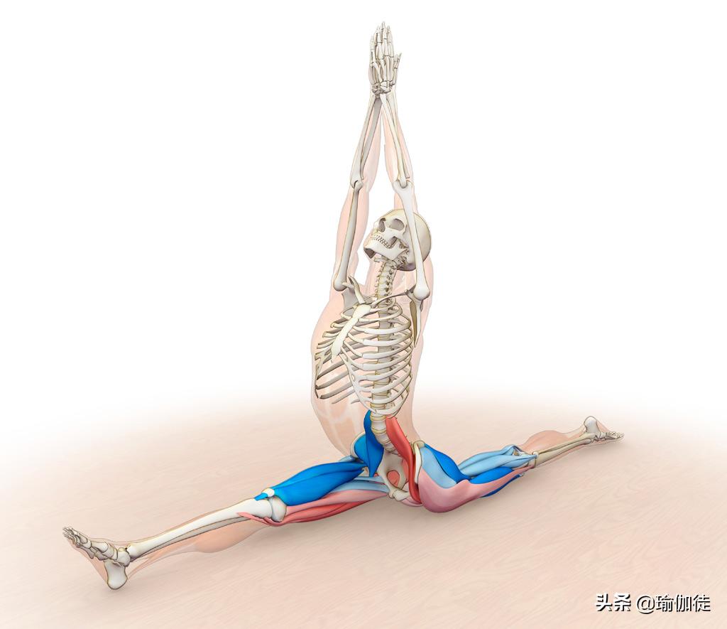 劈叉时劈不下去怎么办,成年人怎么练习劈叉不受伤