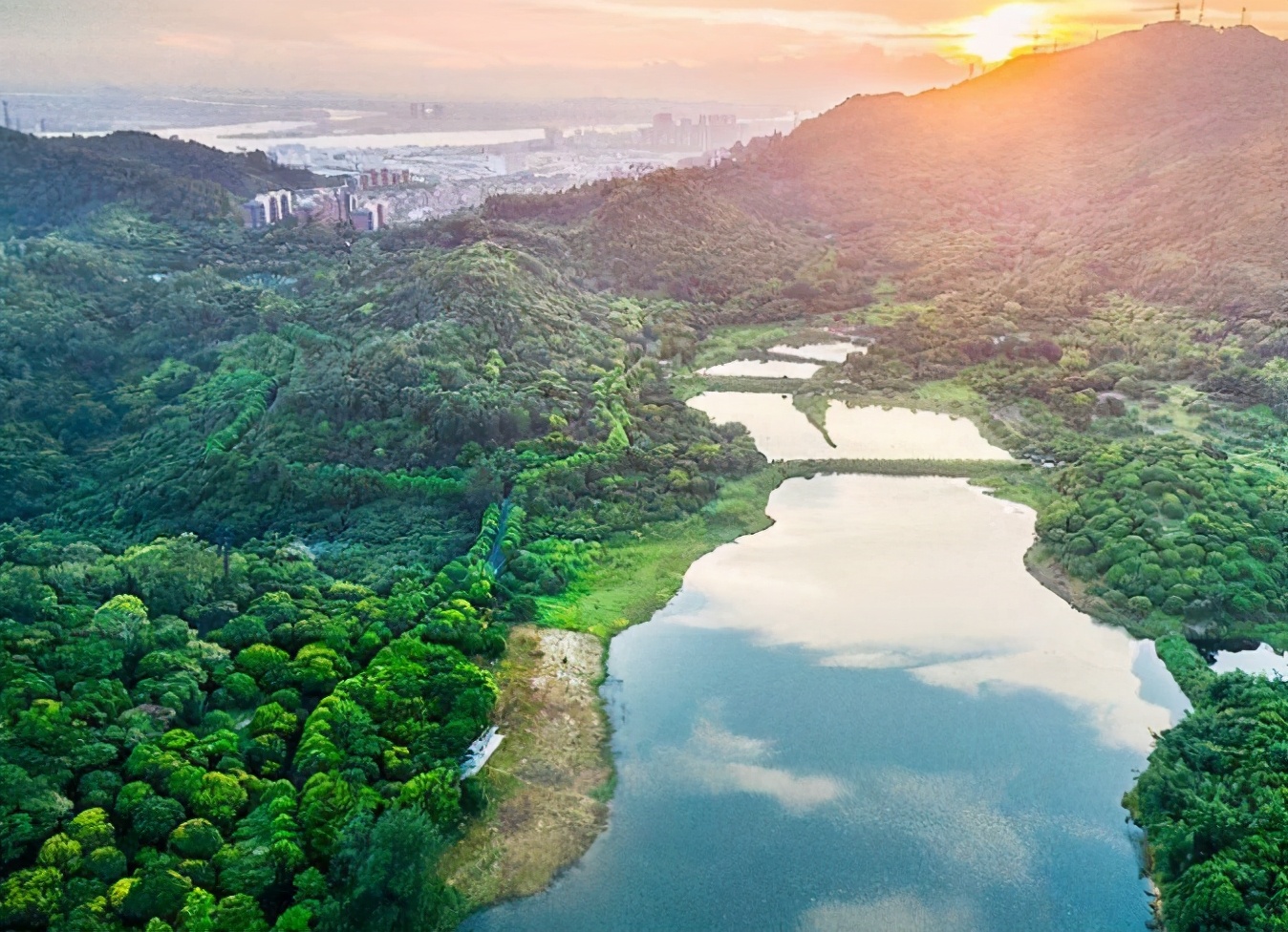 广州黄山鲁森林公园有多少个台阶,广州黄山鲁森林公园景观图片