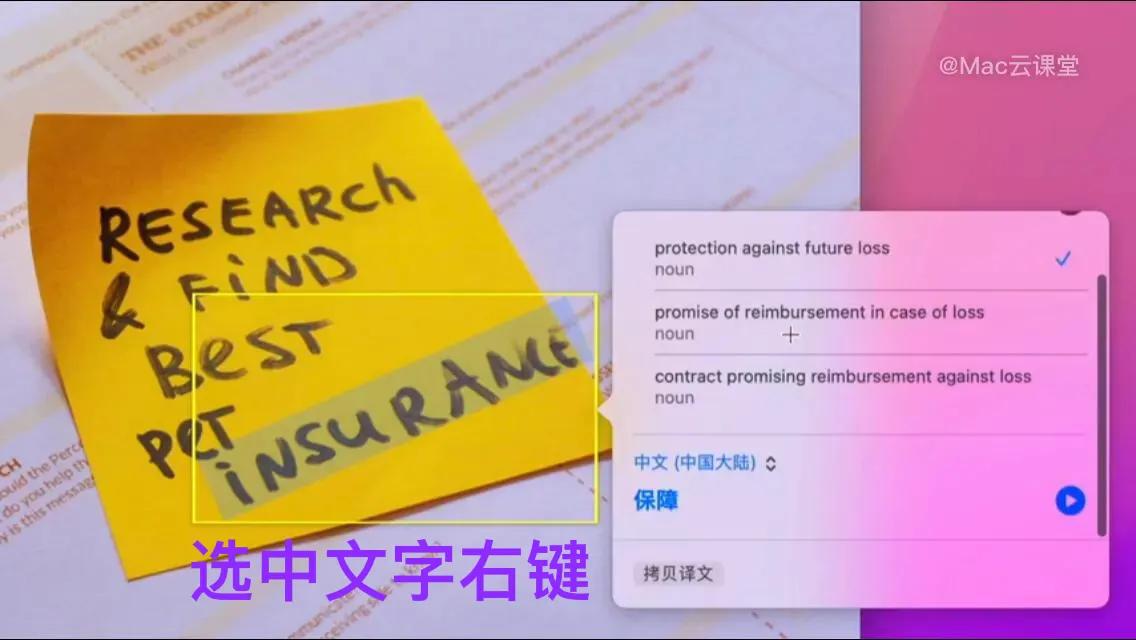 macsafari扩展翻译,mac上好用的翻译软件