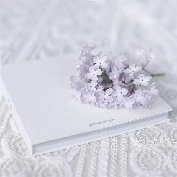 你的名字我不愿再提起,你的名字我不曾忘记